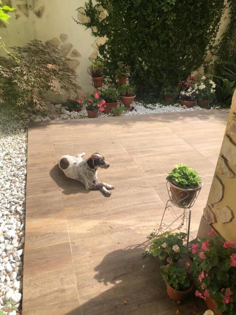 Appartamento Garden House Monte Mario